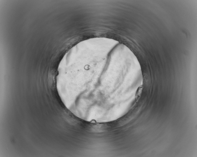 X0000113000527200909241304