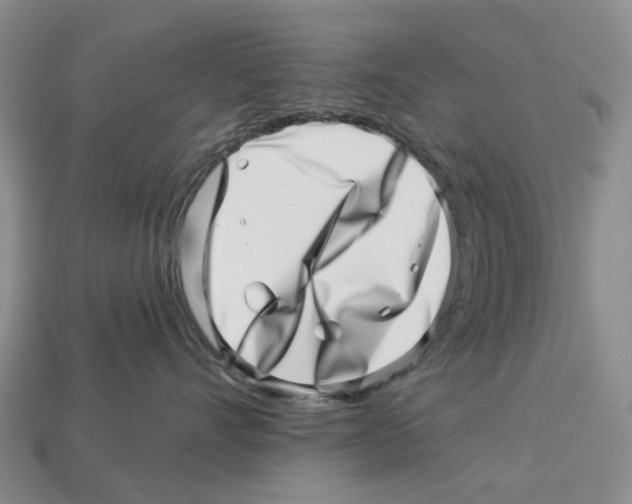 X0000113000528200909241304