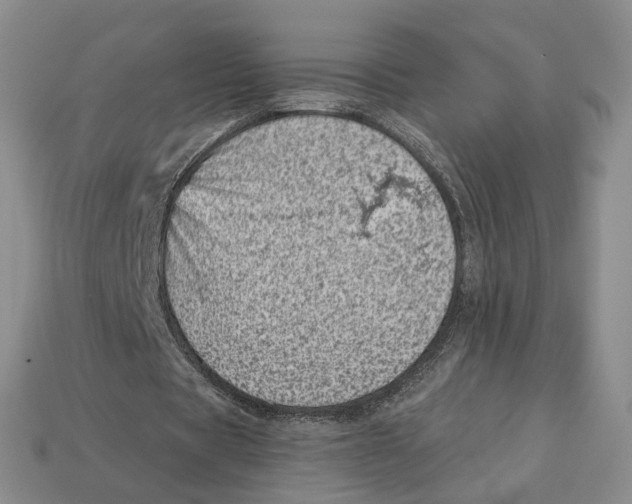 X0000113000529200909241303