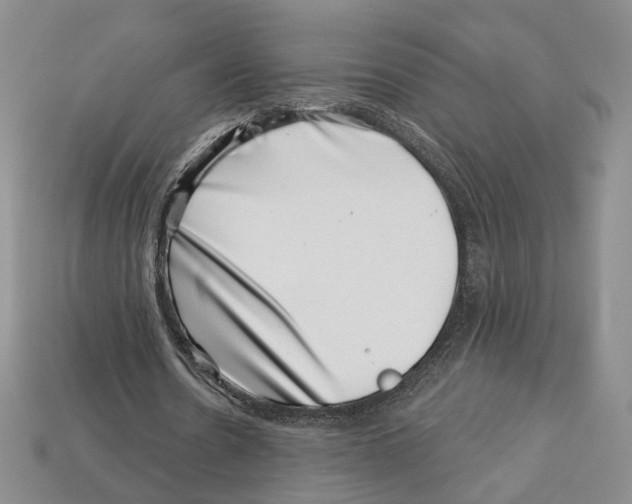 X0000113000530200909241303