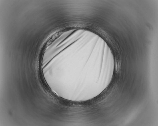 X0000113000531200909241303