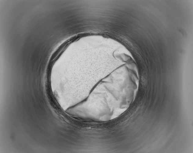 X0000113000532200909241303