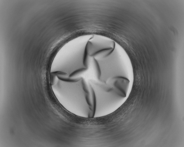 X0000113000535200909241303