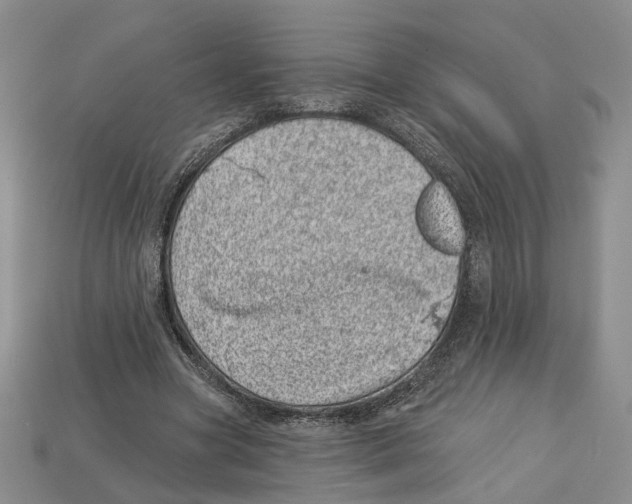 X0000113000537200909241303