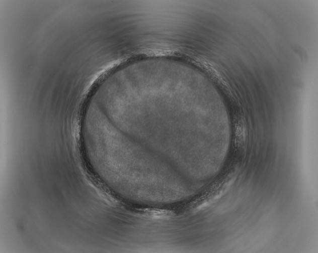 X0000113000539200909241303