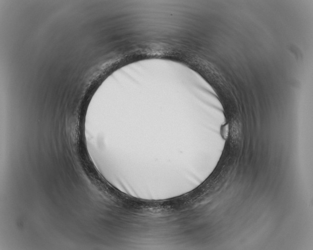 X0000113000540200909241303