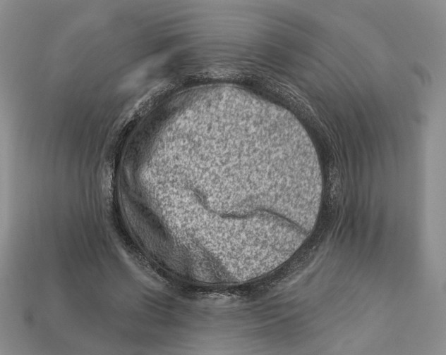 X0000113000542200909241303