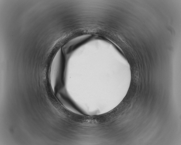 X0000113000543200909241303