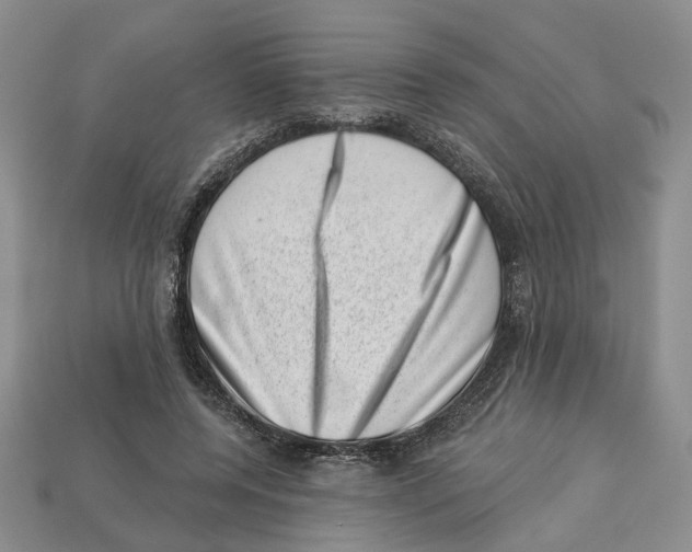 X0000113000544200909241303