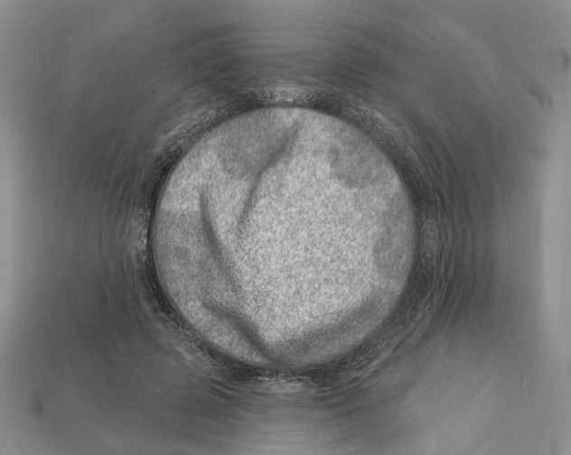 X0000113000545200909241303