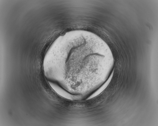 X0000113000546200909241303