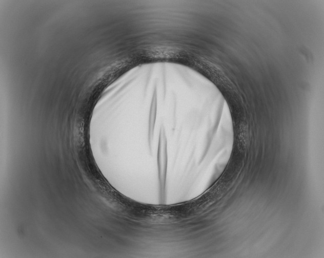 X0000113000547200909241303