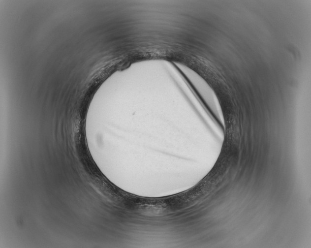 X0000113000548200909241303