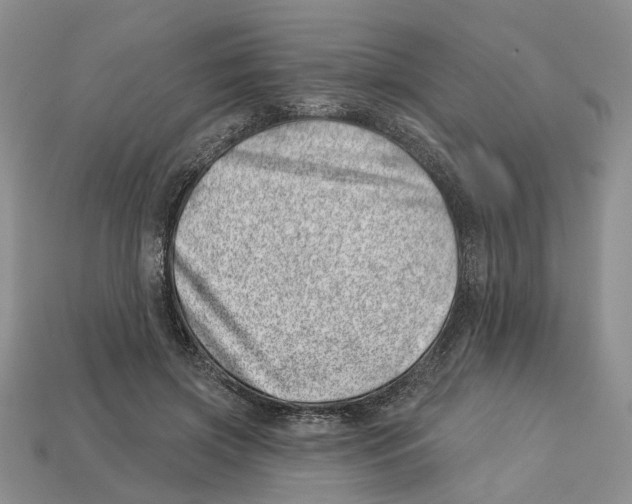 X0000113000549200909241303