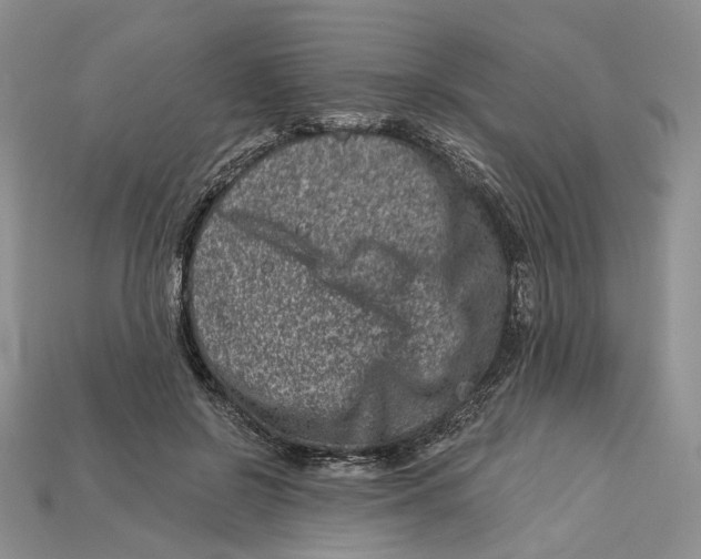 X0000113000550200909241303