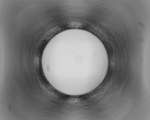 X0000113000551200909241303