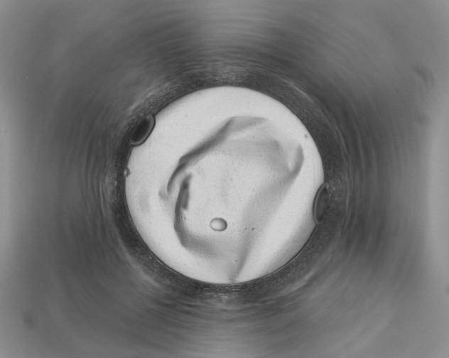 X0000113000552200909241303