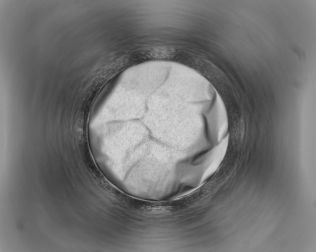 X0000113000553200909241303