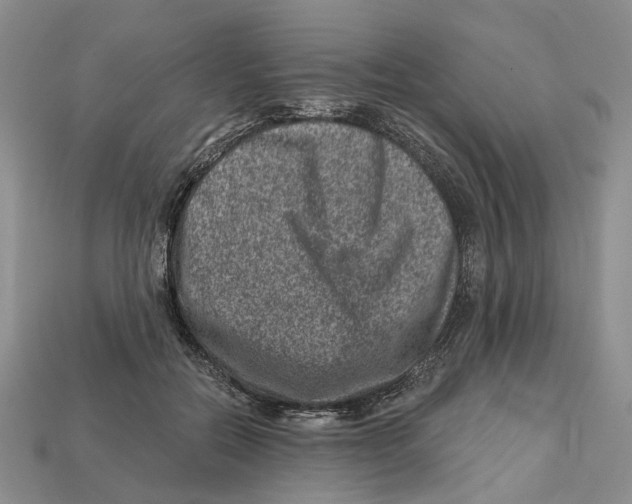 X0000113000554200909241303