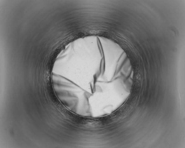 X0000113000555200909241304