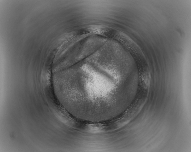 X0000113000556200909241304