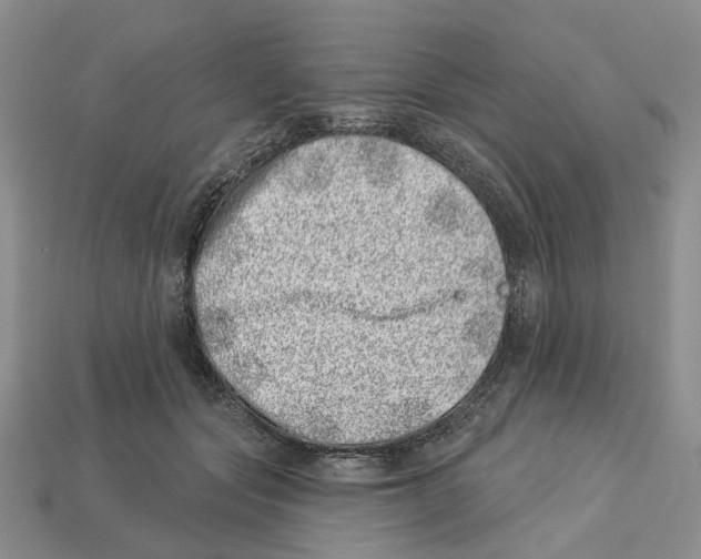 X0000113000557200909241304