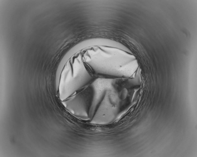 X0000113000558200909241304