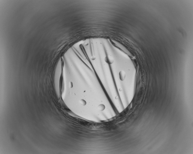 X0000113000560200909241304