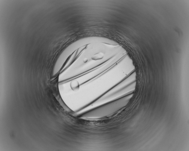 X0000113000562200909241304