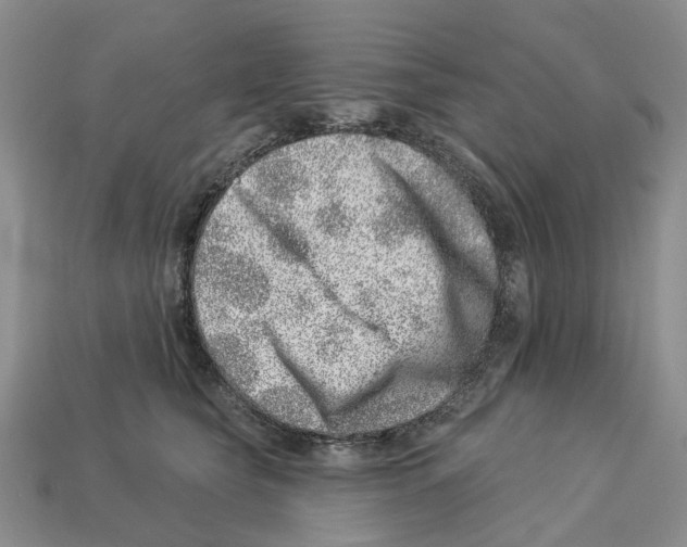 X0000113000565200909241304