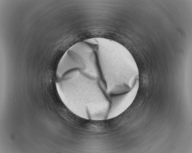 X0000113000567200909241304