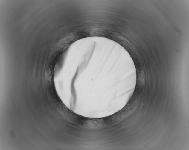 X0000113000571200909241304