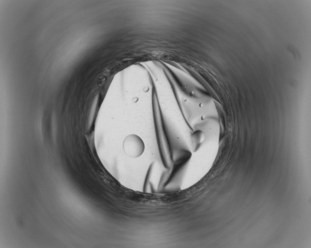 X0000113000572200909241304