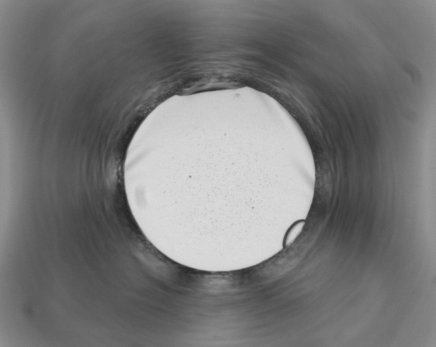 X0000113000574200909241304