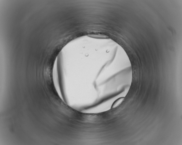 X0000113000575200909241304