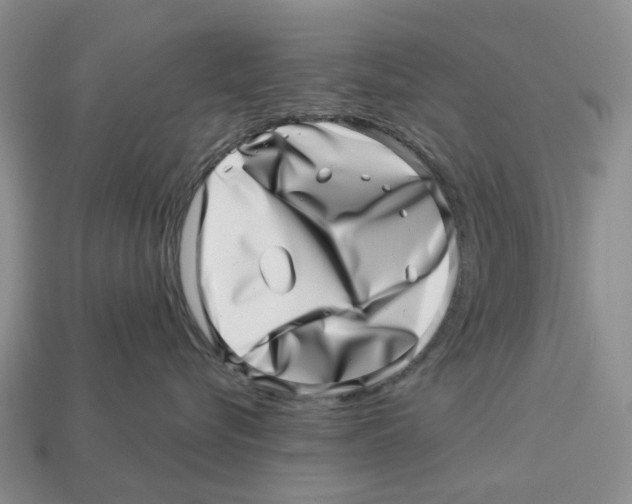 X0000113000576200909241304