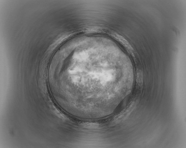 X0000113000577200909241303