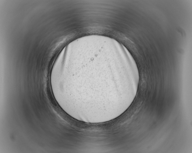 X0000113000578200909241303