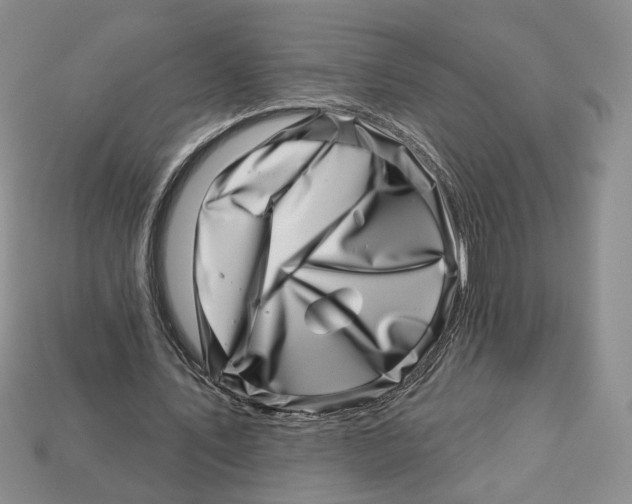 X0000113000579200909241303