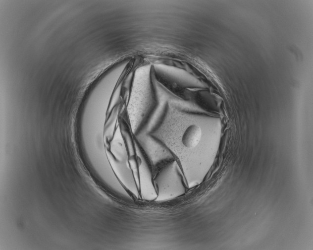 X0000113000581200909241303