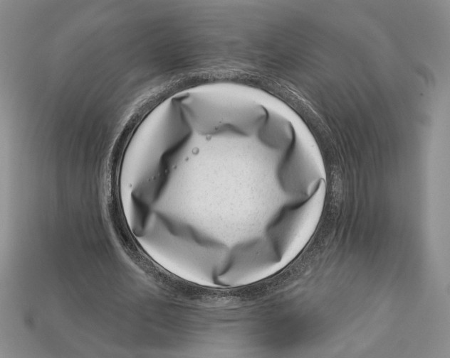 X0000113000582200909241303