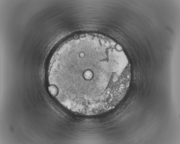 X0000113000584200909241303