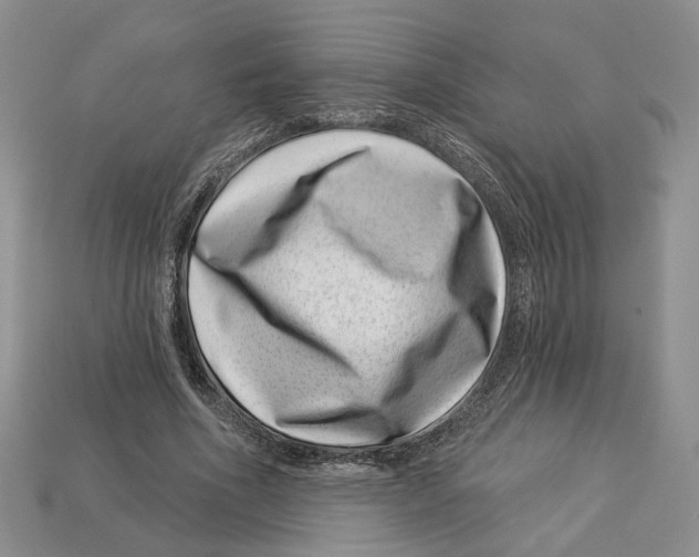 X0000113000586200909241303