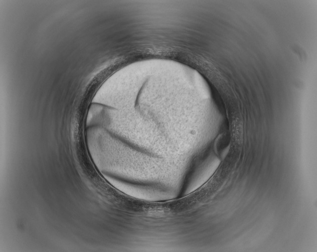 X0000113000587200909241303