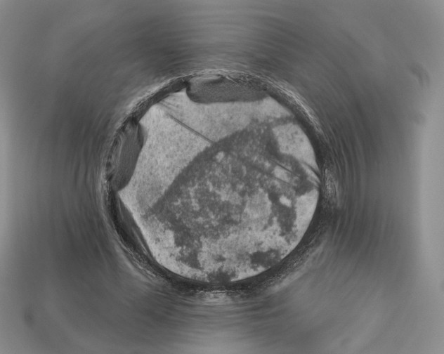 X0000113000588200909241303