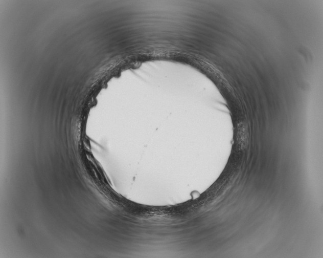 X0000113000589200909241303