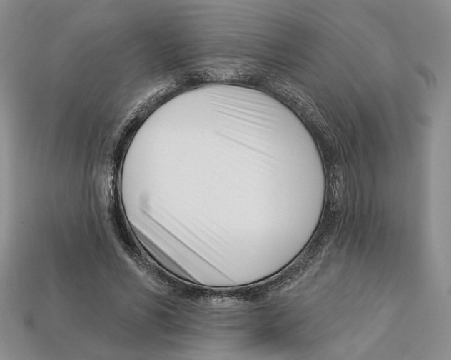 X0000113000590200909241303