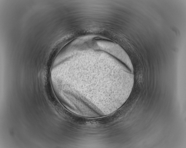 X0000113000591200909241303