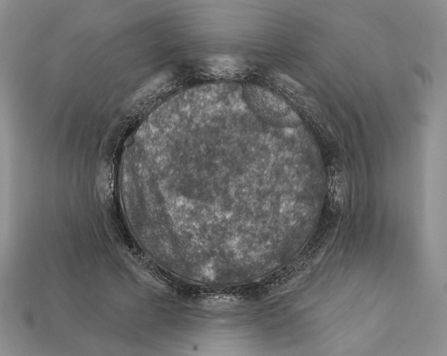 X0000113000593200909241303