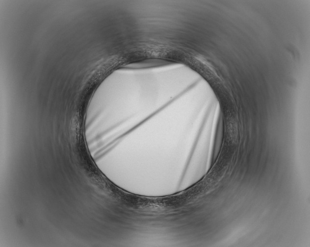 X0000113000594200909241303